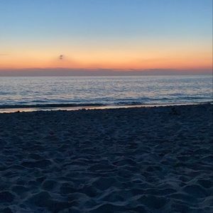 Meet your Posher, Ella